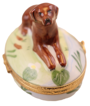 Cargar imagen en el visor de la galería, SKU# 7135 - Labrador chocolate