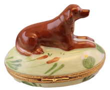 Cargar imagen en el visor de la galería, SKU# 7135 - Labrador chocolate