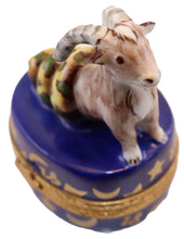 Cargar imagen en el visor de la galería, SKU# 7265 - Capricorn