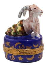 Load image into Gallery viewer, SKU# 7265 - Zodiac: Capricorn