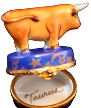 Load image into Gallery viewer, SKU# 7269 - Zodiac: Taurus