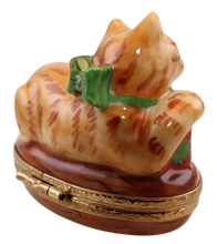 Cargar imagen en el visor de la galería, SKU# 7368 - Gato atigrado naranja con regalo