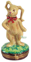 Load image into Gallery viewer, SKU# 7400 - Bedtime Bunny