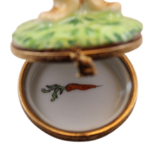 Cargar imagen en el visor de la galería, SKU# 7400 - Conejito para dormir