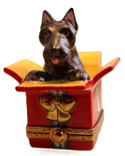 Load image into Gallery viewer, SKU# 7490 - Scottie In Present Box