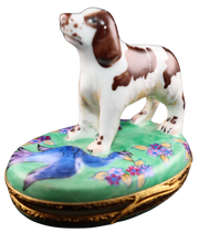 Load image into Gallery viewer, SKU# 7526 - Springer Spaniel