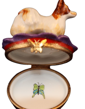 Load image into Gallery viewer, SKU# 7647 - Papillon Dog