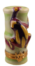 Load image into Gallery viewer, SKU# 7807 - Clown Tree Frog