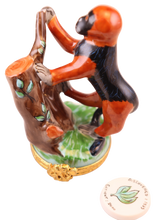 Cargar imagen en el visor de la galería, SKU# 7815 - Mono colobo rojo