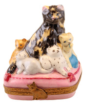 Load image into Gallery viewer, SKU# 19001 - Happy Cat Family