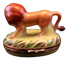 Cargar imagen en el visor de la galería, SKU# 7414 - León