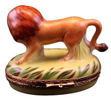Load image into Gallery viewer, SKU# 7414 - Lion
