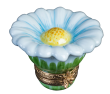 Cargar imagen en el visor de la galería, SKU# 36031 - Margarita blanca - (RETIRADA)