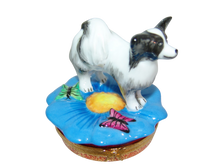 Cargar imagen en el visor de la galería, SKU# 3638 - Perro Papillon: Blanco y negro
