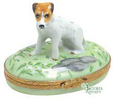 Load image into Gallery viewer, SKU# 6008 - Jack Russell Terrier
