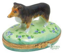 Cargar imagen en el visor de la galería, SKU# 6009 - Perro pastor de Shetland