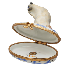 Cargar imagen en el visor de la galería, SKU# 6017 - Birmano de Blue Point