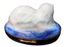 Cargar imagen en el visor de la galería, SKU# 6020 - Persa chinchilla