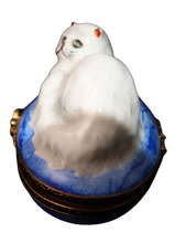 Cargar imagen en el visor de la galería, SKU# 6020 - Persa chinchilla