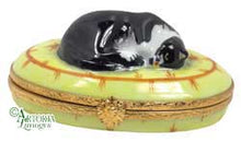 Cargar imagen en el visor de la galería, SKU# 6022 - Gato durmiendo