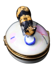 Load image into Gallery viewer, SKU# 6023 - Tortoise Shell Cat
