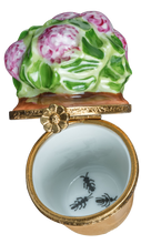 Load image into Gallery viewer, SKU# 6048 - Geranium Pink