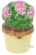 Load image into Gallery viewer, SKU# 6048 - Geranium Pink