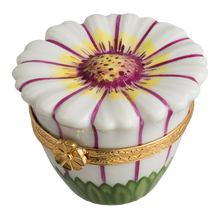 Lade das Bild in den Galerie-Viewer, Artikelnummer 6050 - Gänseblümchen Weiß
