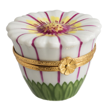 Lade das Bild in den Galerie-Viewer, Artikelnummer 6050 - Gänseblümchen Weiß