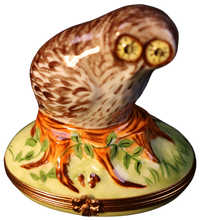 Load image into Gallery viewer, SKU# 6270 - Owl Box