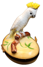 Cargar imagen en el visor de la galería, SKU# 6297 - Cacatúa cresta amarilla