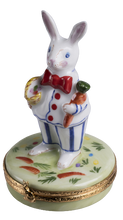 Load image into Gallery viewer, SKU# 6360 - Easter Bunny