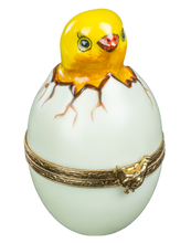 Load image into Gallery viewer, SKU# 6362 - Baby Chick Hatching