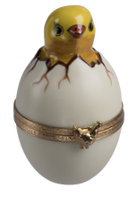 Load image into Gallery viewer, SKU# 6362 - Baby Chick Hatching