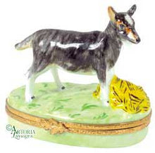 Load image into Gallery viewer, SKU# 6447 - Billy Goat