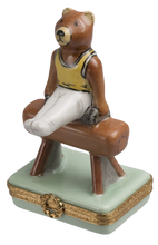 Load image into Gallery viewer, SKU# 7075 - Bear & Gymnastics