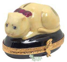 Load image into Gallery viewer, SKU# 7347 - Chinese Cat