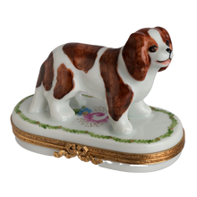 Load image into Gallery viewer, SKU# 7528 - Cavalier King Charles
