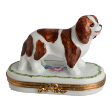 Load image into Gallery viewer, SKU# 7528 - Cavalier King Charles