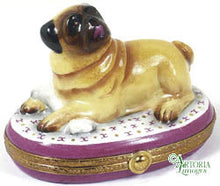 Load image into Gallery viewer, SKU# 7563 - Pug With Bone