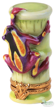 Load image into Gallery viewer, SKU# 7807 - Clown Tree Frog