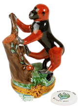 Cargar imagen en el visor de la galería, SKU# 7815 - Mono colobo rojo