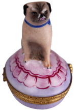 Load image into Gallery viewer, SKU# 6004 - Pug Sitting