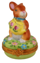 Cargar imagen en el visor de la galería, SKU# 16027 - Bunny With Watering Can
