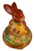 Cargar imagen en el visor de la galería, SKU# 16027 - Bunny With Watering Can

