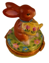 Cargar imagen en el visor de la galería, SKU# 16027 - Bunny With Watering Can
