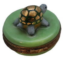 Lade das Bild in den Galerie-Viewer, SKU# 2448 - Tiny Turtle
