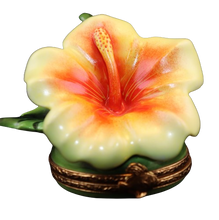 Lade das Bild in den Galerie-Viewer, Artikelnummer 3529 - Hawaiianischer Hibiskus
