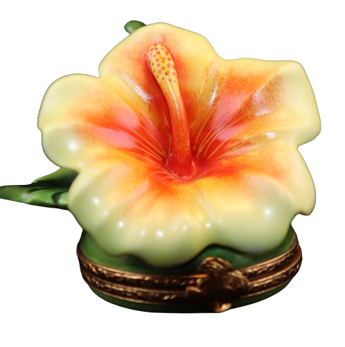 Artikelnummer 3529 - Hawaiianischer Hibiskus
