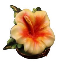 Lade das Bild in den Galerie-Viewer, Artikelnummer 3529 - Hawaiianischer Hibiskus
